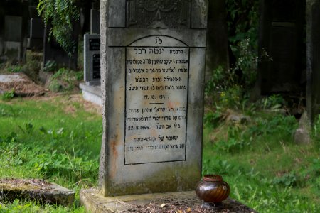IMG 0154 lodz cemetery august 2018