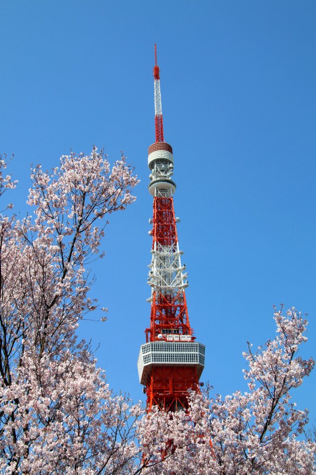 Tokyo tower high sky
