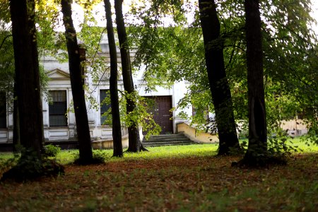 IMG 8995 park helenow lodz august 2018