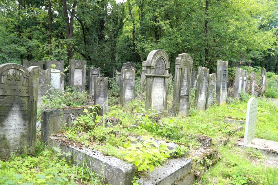 IMG 0183 Łódź Jewish Cemetery august 2018 005