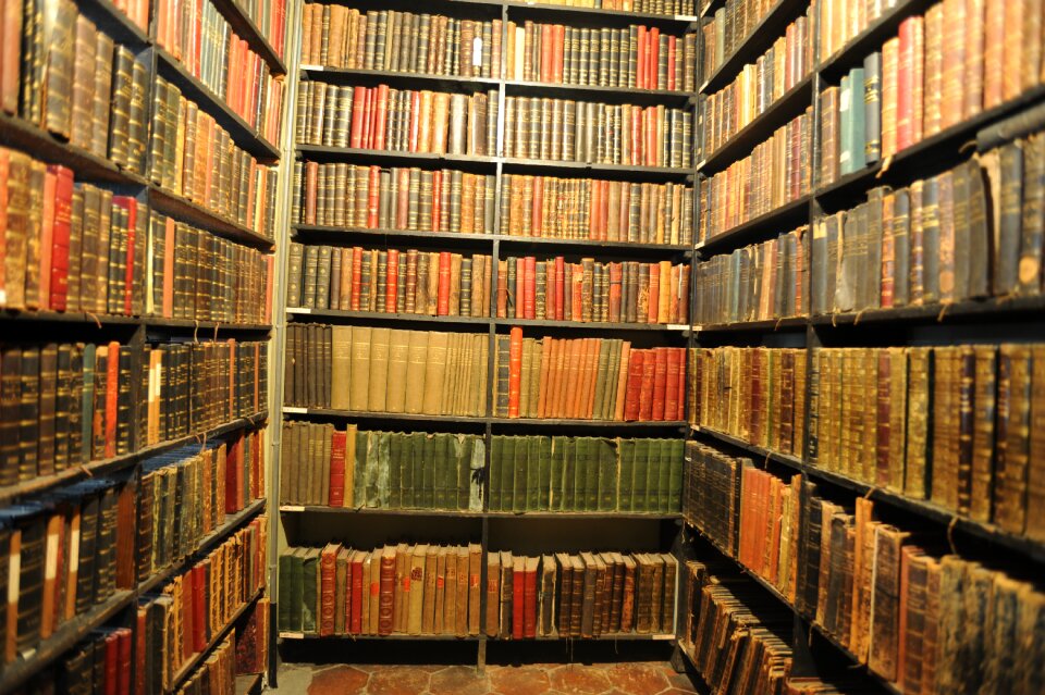 Books reading popular library