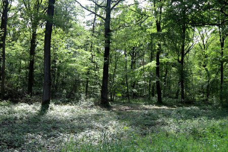 IMG Circuit de Wallonie 2019 in Nalinnes - Belgique 32