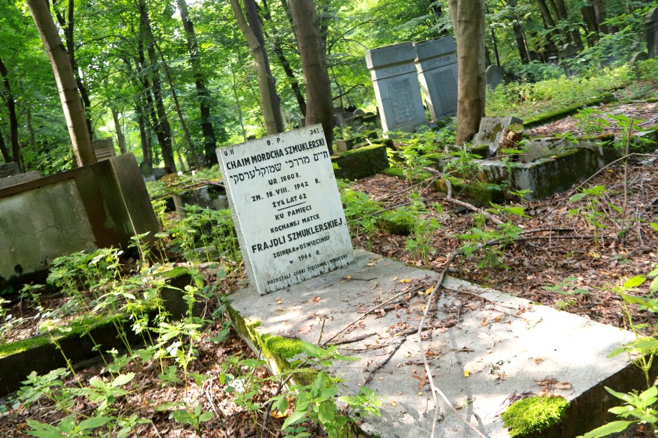 IMG 0069 Łódź Jewish Cemetery august 2018 003