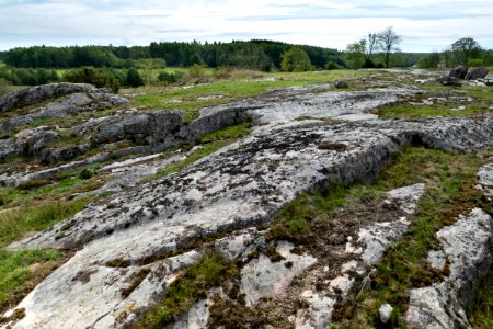 Immestad landscape 3