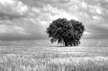 Clouds sky monochrome