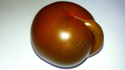 Imperfect Tomato - Bump1