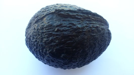 Imperfect Avocado - Wrinkle2 D