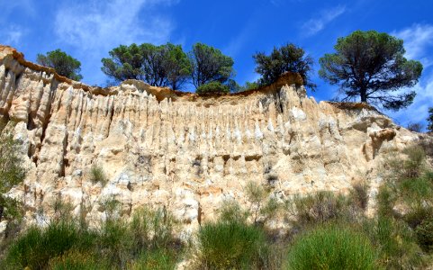 Ille-sur-Têt Orgues 27072014 08