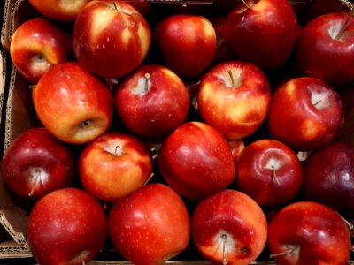 Idared apples 2017 A