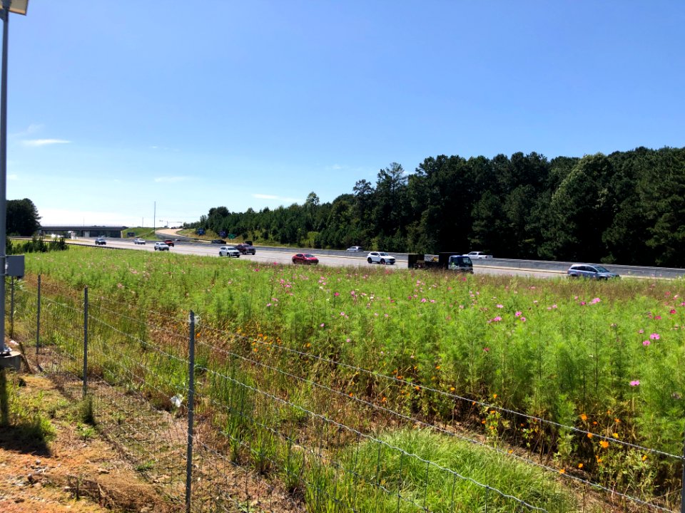 I-575 in Woodstock GA, Sept 2020