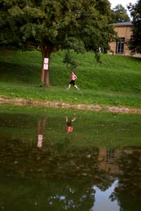 IMG 9055 park helenow lodz august 2018