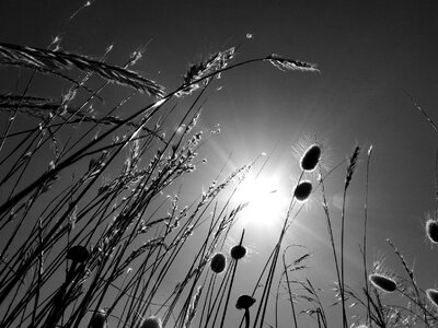 Black and white dramatic sky silhouette
