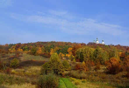Autumn autumn gold foliage