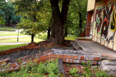 IMG 9011 park helenow lodz august 2018