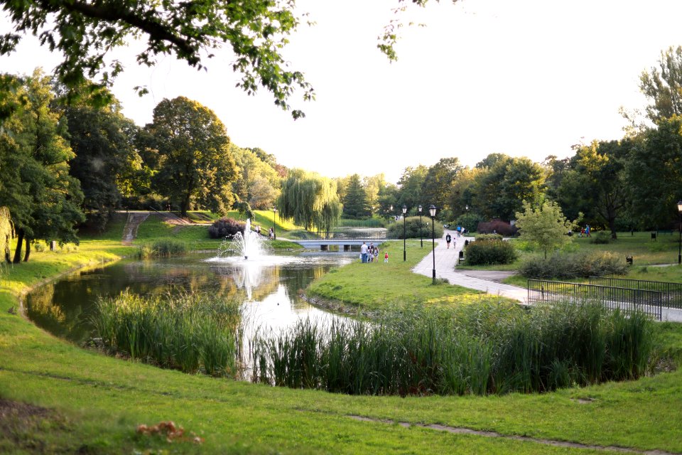 IMG 9004 park helenow lodz august 2018