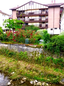Idiazabal 19