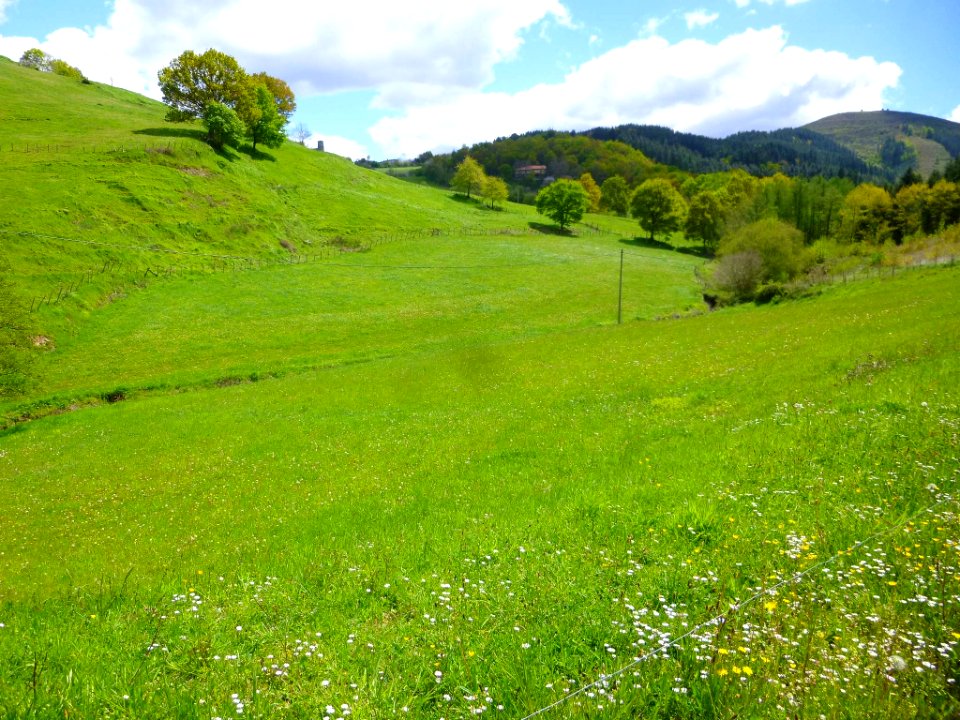 Ibarra (Aramayona) 039
