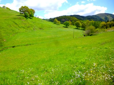 Ibarra (Aramayona) 039