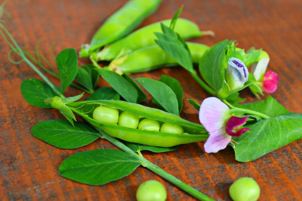Green flowers vegetables
