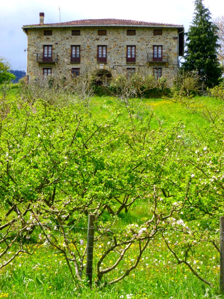 Ibarra (Aramayona) 040