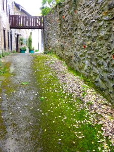 Ibarra (Aramayona) 065