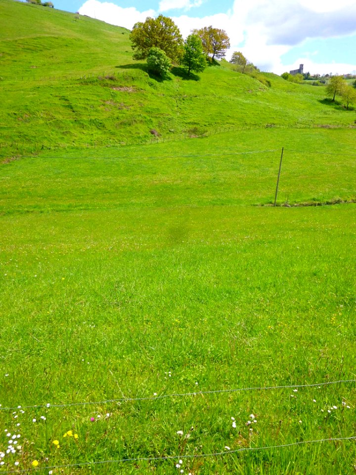 Ibarra (Aramayona) 042