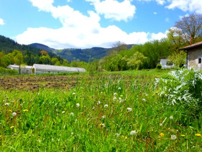 Ibarra (Aramayona) 022
