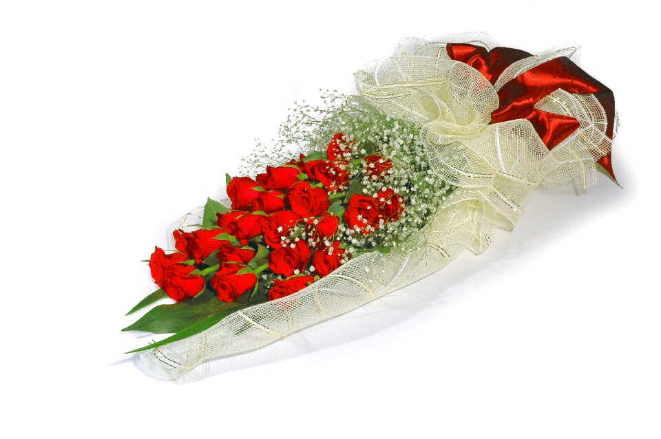 Gypsophila elegans flowers props