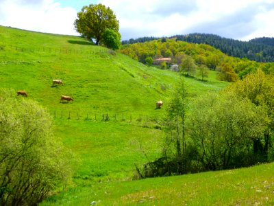 Ibarra (Aramayona) 037