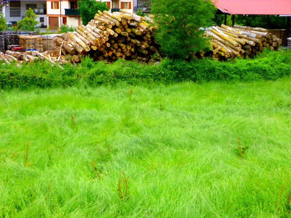 Idiazabal 50
