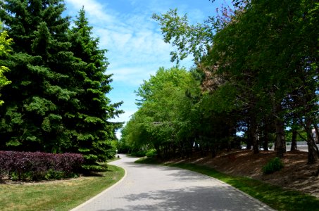 IBMCanada3600Steeles4