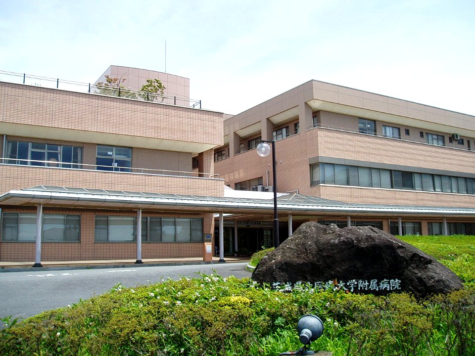 Ibaraki-Pref-Univ-of-Health-Sciences-Hospital-2012071601