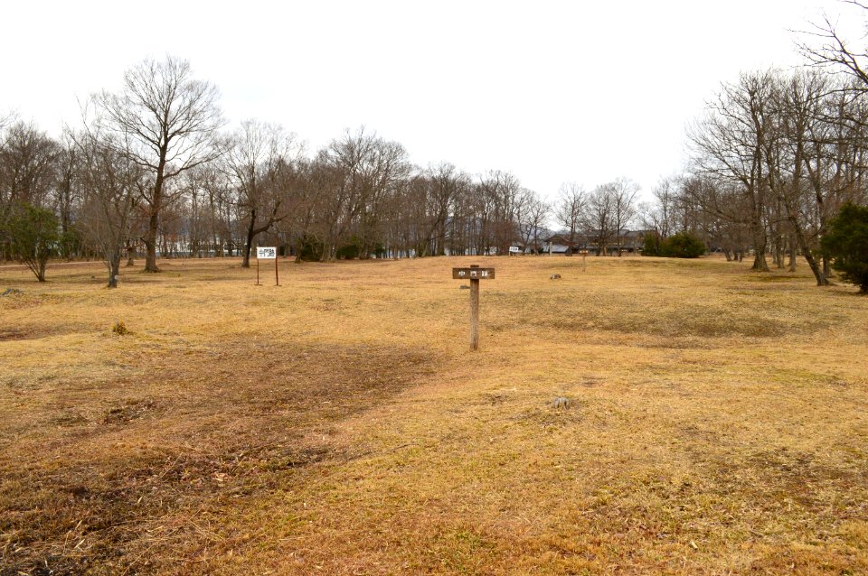 Iga-kokubunji zenkei