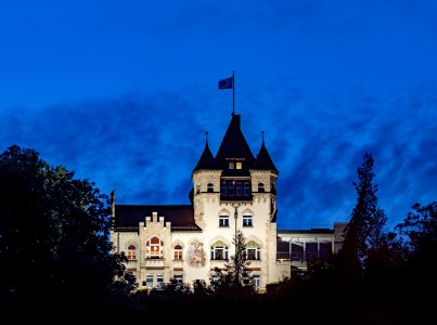 Igel in Tübingen mit nächtlicher Beleuchtung