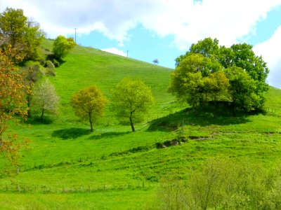 Ibarra (Aramayona) 045