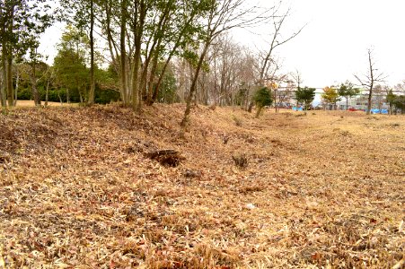 Iga-kokubunji dorui