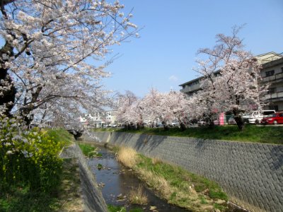 Iga-River-5
