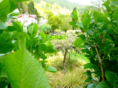 Ibarra (Aramayona) 105