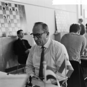IBM schaaktoernooi, L. Szabo (Hongarije), Bestanddeelnr 917-9986