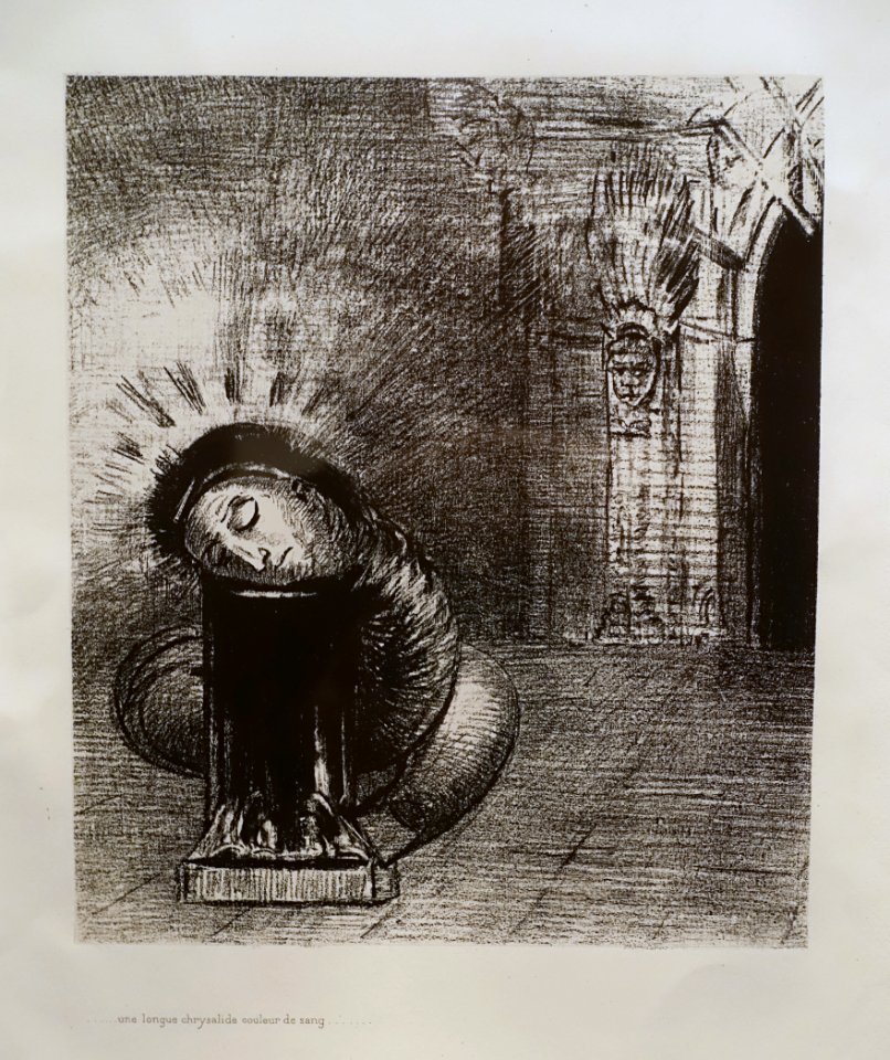 II.... a long, blood-coloured chrysalis, from To Gustave Flaubert..., by Odilon Redon, 1889, lithograph, only state - Montreal Museum of Fine Arts - Montreal, Canada - DSC08916