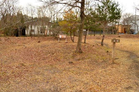 Iga-kokubunji tou (southwest)