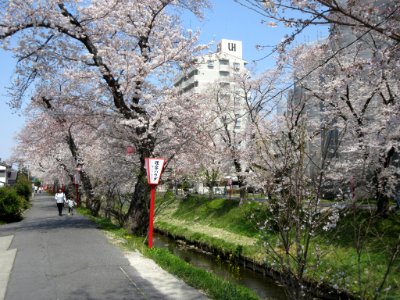 Iga-River-4