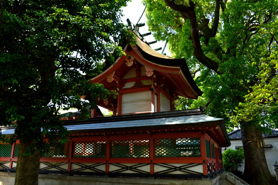 Ikune-jinja (Sumiyoshi, Osaka), honden