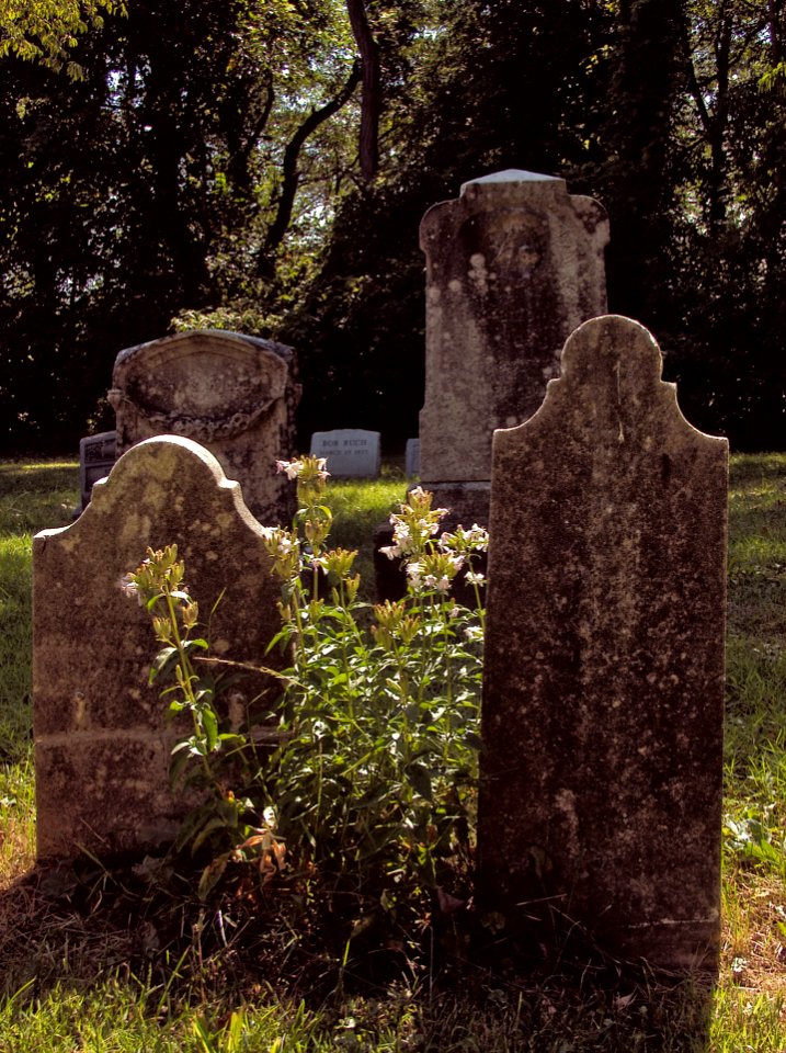 Illegible Tombstones, Mount Pisgah Cemetery, 2015-08-21, 01