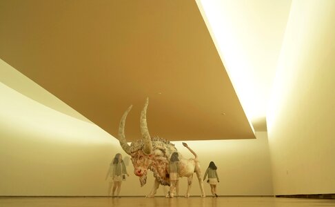 Museum either animal