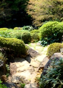 Ikedayama Park - Shinagawa, Tokyo - DSC01022