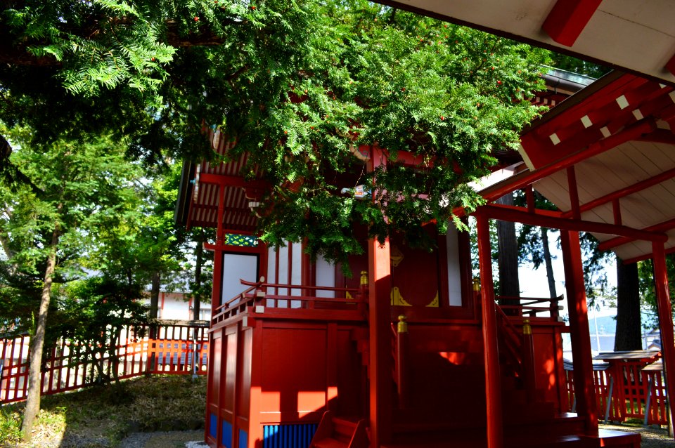 Ikushimatarushima-jinja Suwa-jinja honden