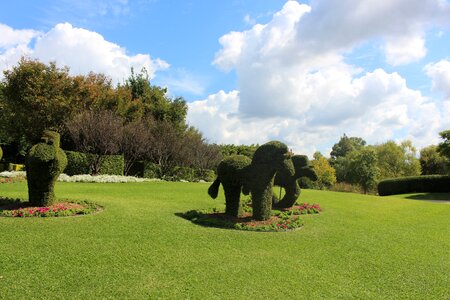 Grass made elephant