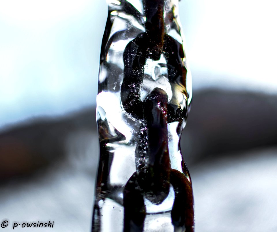 Ice On The Chain (187464387)