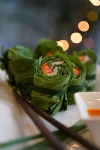 Spring rolls summer rolls fresh